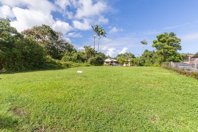66 Wawai Loop, Hilo, HI 96720 - photo 2