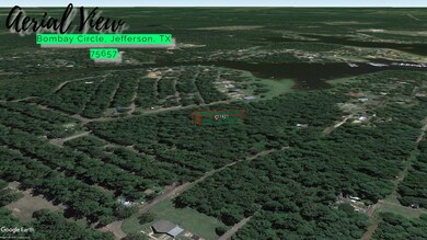 Bombay Cir unit Jefferson TX 75657, Jefferson, TX 75657 - photo 3