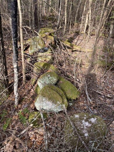 11-4 Wells Rd unit 11-4, Franconia, NH 03580 - photo 5