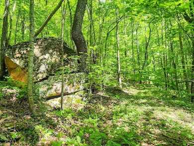 0 Buffalo Rd unit 23634322, Oneida, TN 37841 - photo 4