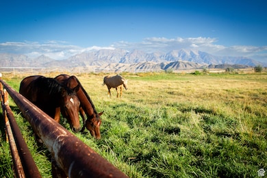 11448 W Highway 6, Goshen, UT 84633 - photo 4