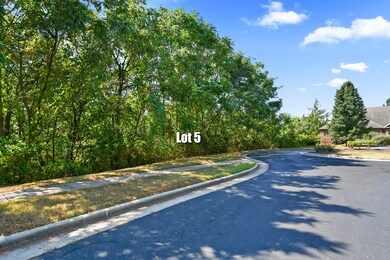 5216 S Nettleton Ave, Springfield, MO 65810 - photo 5