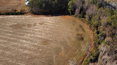 TBD Black Creek Rd, Nichols, SC 29581 - photo 6