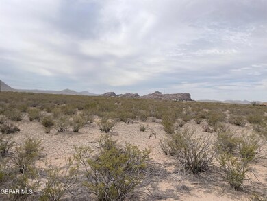 IMG_2200(1)