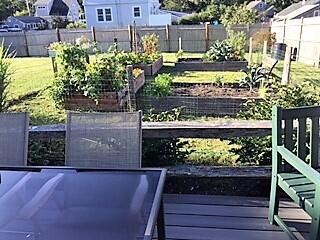 image1 (3)