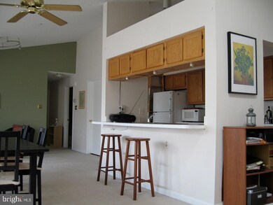 2703 Leaf Drop Ct unit 9, Silver Spring, MD 20906 - photo 2
