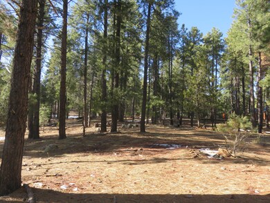 Beautiful Piece Of Property