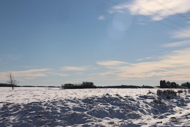 64XXX Pezderic Rd, Keystone, WI 54856 - photo 7