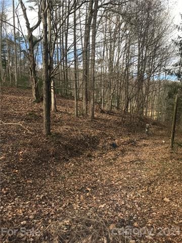 70 Propst Rd unit C, Candler, NC 28715 - photo 5