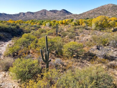 Aside a Desert Arroyo