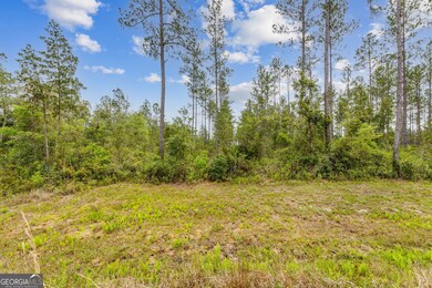 V/L 102 Old Reserve Rd, Waverly, GA 31565 - photo 7