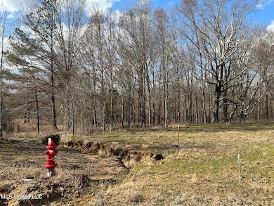 Photo Feb 07 2025, 2 39 04 PM