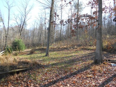 521 Furnace Rd, Lewisburg, PA 17837 - photo 3