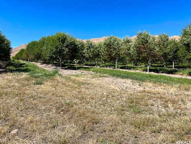 2151 N York Ln unit 11, Genola, UT 84655 - photo 4