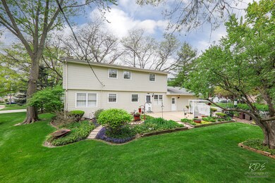 1121 George Ln, Naperville, IL 60540 - photo 4