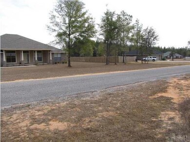 Neighborhood / Street View