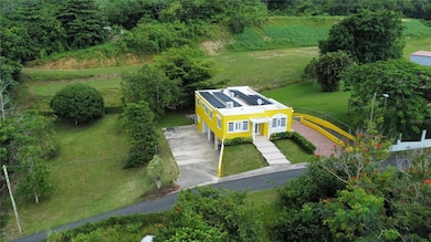 SR 446 Km 1.5 Int. Lot 2 Hoyamala Ward, San Sebastian, PR 00685 - photo 2