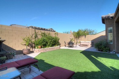 Backyard3