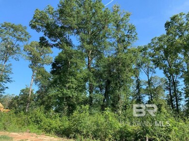 0 Hampton Rd unit 31 376099, Mobile, AL 36608 - photo 5