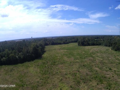 TBD Mashburn Rd, Marianna, FL 32448 - photo 5