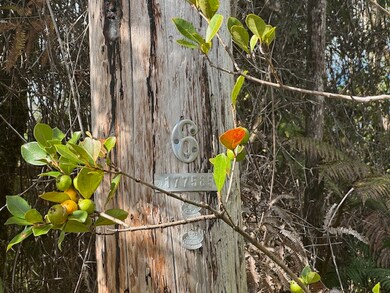 0 Kahaualea Rd unit 726023, Volcano, HI 96785 - photo 3