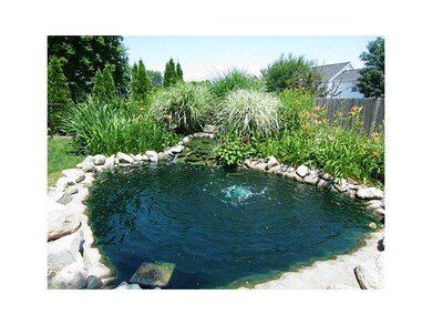 Pond.