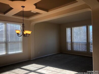 26202 Ponyfoot, San Antonio, TX 78261 - photo 4