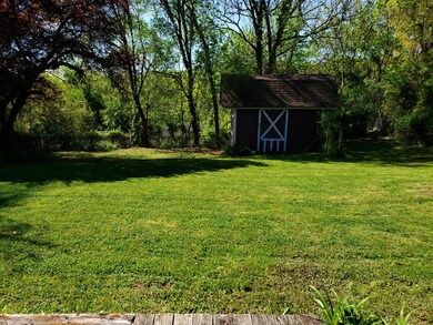 Large Level Back Yard