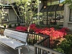 1731 Beacon St unit 1502, Brookline, MA 02445 - photo 3