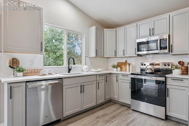 6030 Grapevine Dr, Colorado Springs, CO 80923 - photo 6