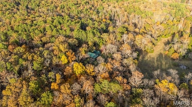 14123 State Highway A, Richwoods, MO 63071 - photo 5