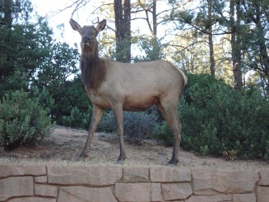 Elk