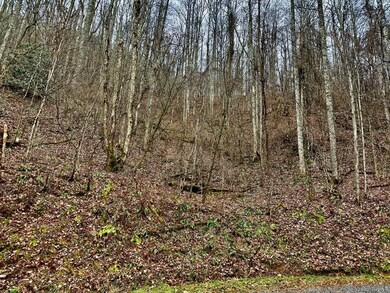 unlisted-address, Barkers Creek, NC 28789 - photo 3