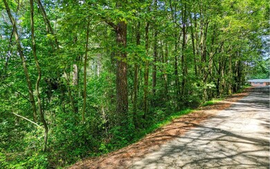 1.22A New Hope Rd, Ellijay, GA 30540 - photo 3