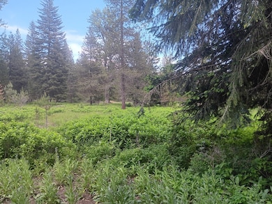 763 Upper Cotton Ln, de Borgia, MT 59830 - photo 5