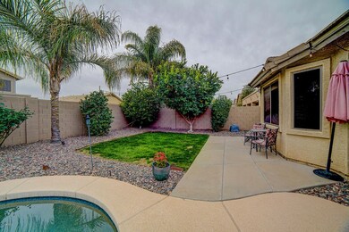 Backyard 1 - Copy