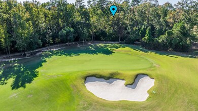 75 Mediterra Way, the Woodlands, TX 77389 - photo 6