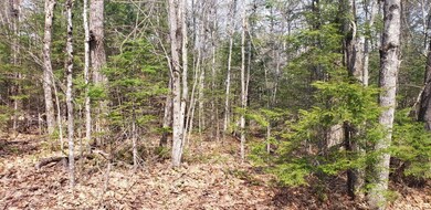 M21 L34A N Bridgton Rd, Bridgton, ME 04009 - photo 2