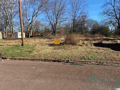 2913 11th Ave N unit 18, Bessemer, AL 35020 - photo 2