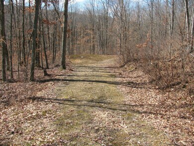 IMG_0672_resized (1)