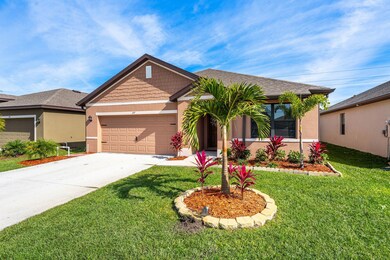 Meticulous Landscaping View