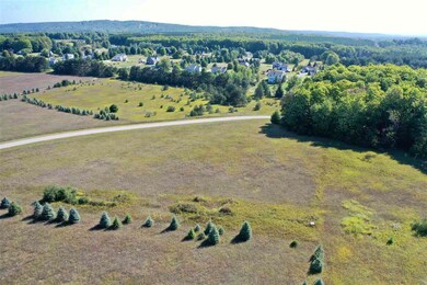 7880 Lindy Ln unit 9, Harbor Springs, MI 49740 - photo 4