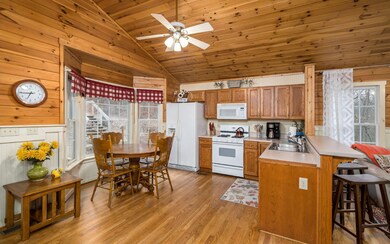 178 Blackberry Mountain Rd, Ellijay, GA 30536 - photo 3