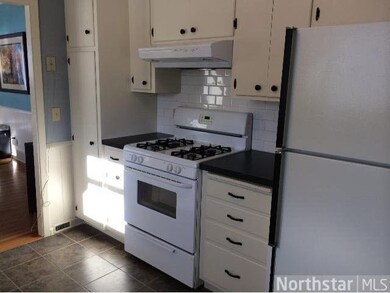 1464 Budd Ave, Maple Plain, MN 55359 - photo 4