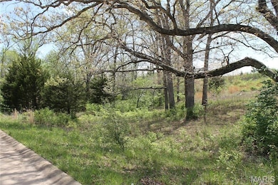 0 Oakridge Estate Block 2 Lot 40 unit MIS25078527, Saint Clair, MO 63077 - photo 2