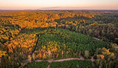 0 Sawyers Cove Rd unit 25373983, Calera, AL 35040 - photo 5