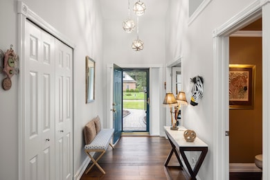 1120 American Elm 08