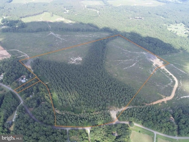 0 Dogwood Drive (Tract: Jr Bedford-Bowles_sims-3) unit VAFN2000524, Columbia, VA 23038 - photo 3