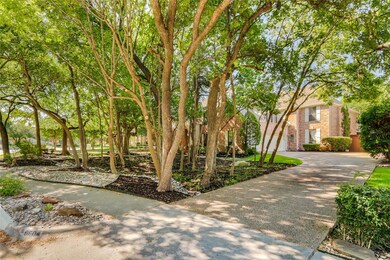 A forest of trees in your front yard with lush, ma