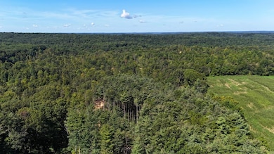 0 Emmons Ridge Rd unit 24600131, Shoals, IN 47581 - photo 4